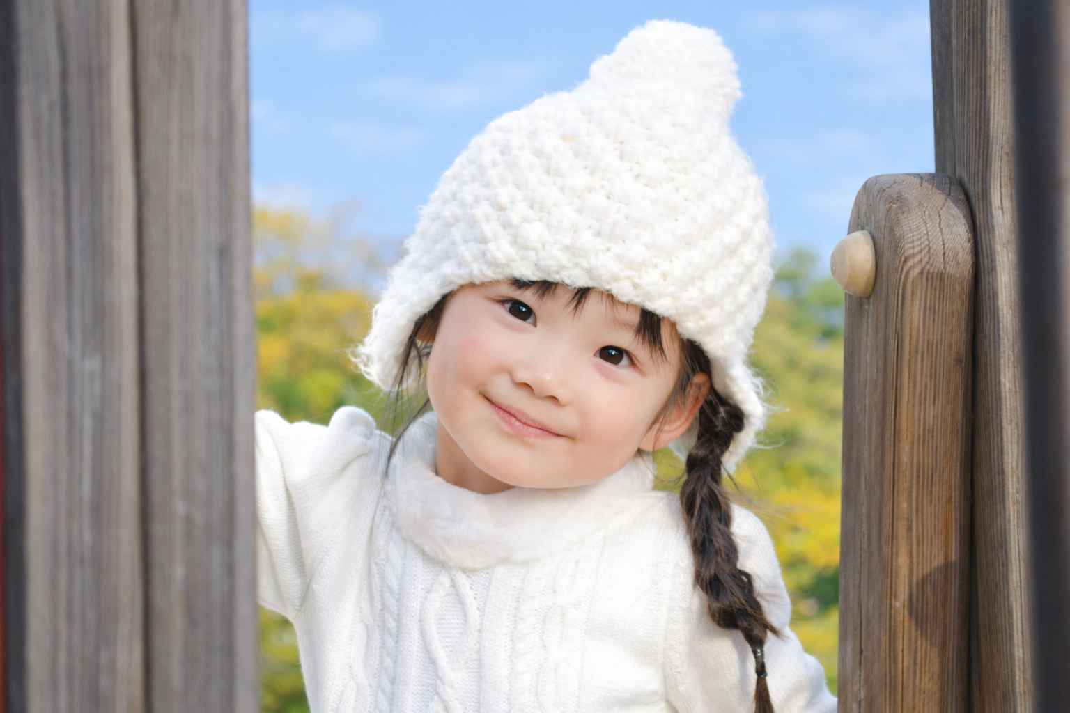 お嬢さまの肖像 - 元の写真