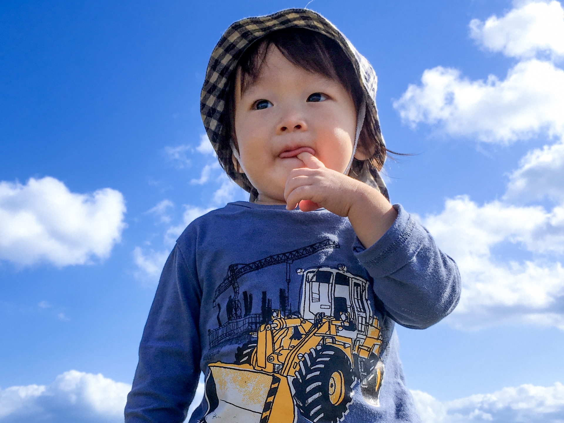 小さな武将の肖像 - 元の写真