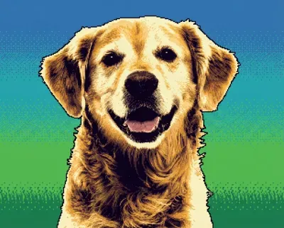 ドット絵