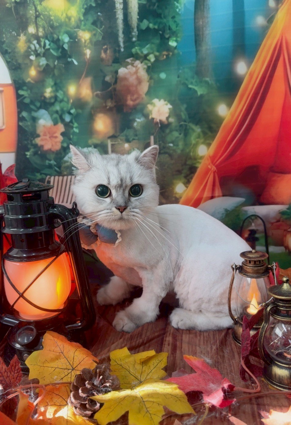 A.S様の変換前の写真